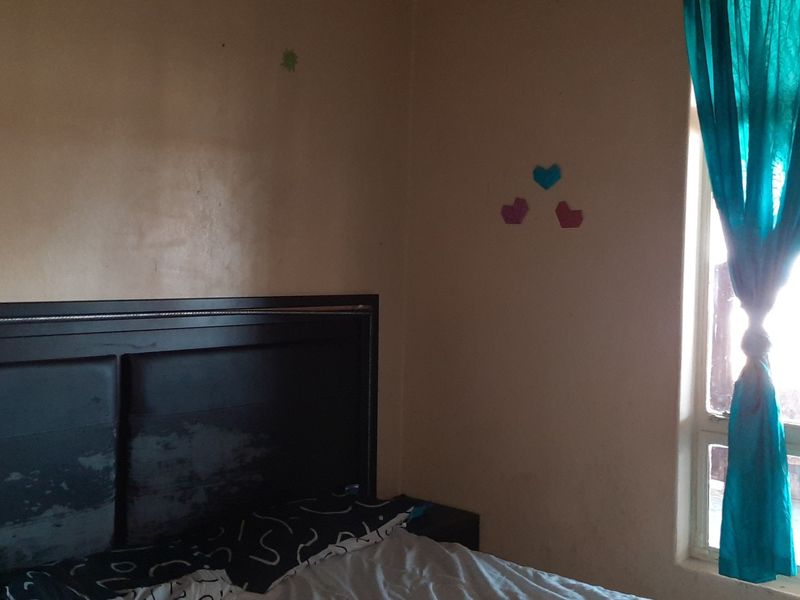 Small holding - Investors - dream - Photo 10