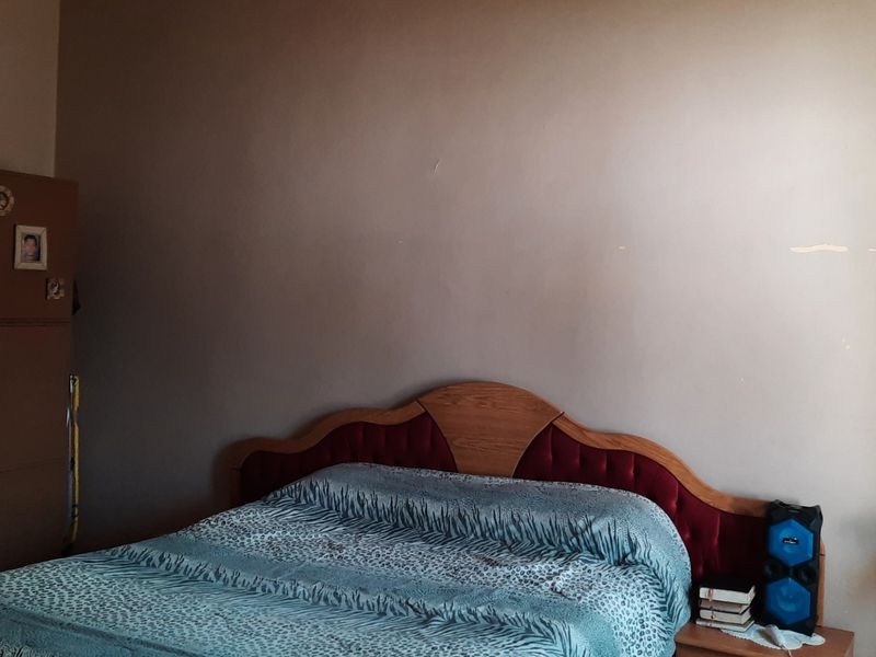 Small holding - Investors - dream - Photo 9