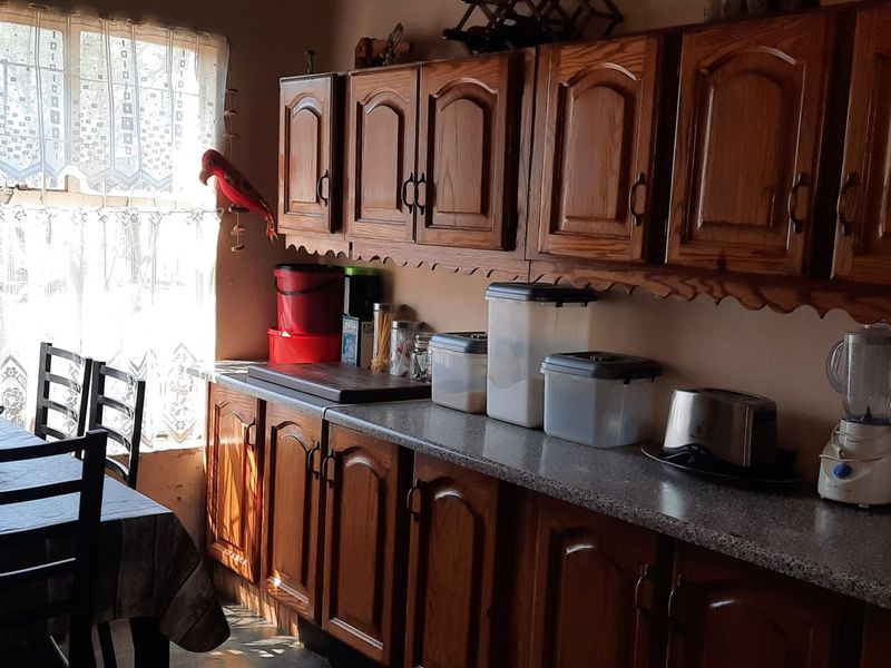 Small holding - Investors - dream - Photo 7