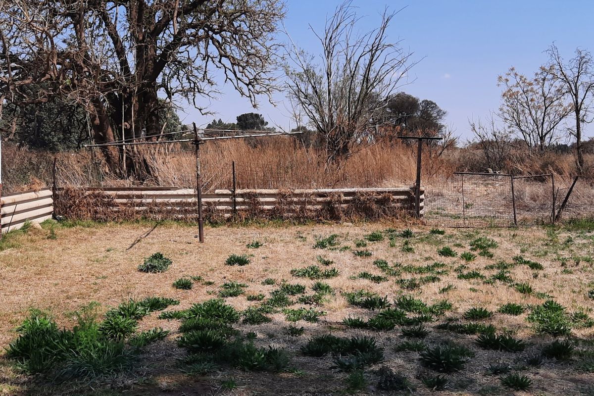 Small holding - Investors - dream - Photo 3