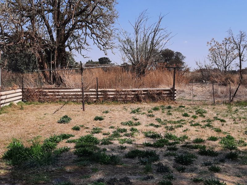 Small holding - Investors - dream - Photo 3