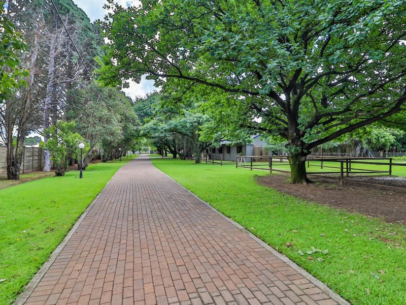 Unique - One of a kind on the banks if the Vaal River. Best Value for your Investment - Photo 7