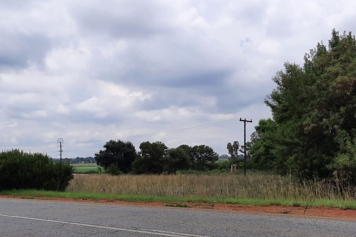 1 HA - Open Land near the tar road - Photo 3