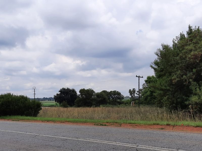 1 HA - Open Land near the tar road - Photo 3