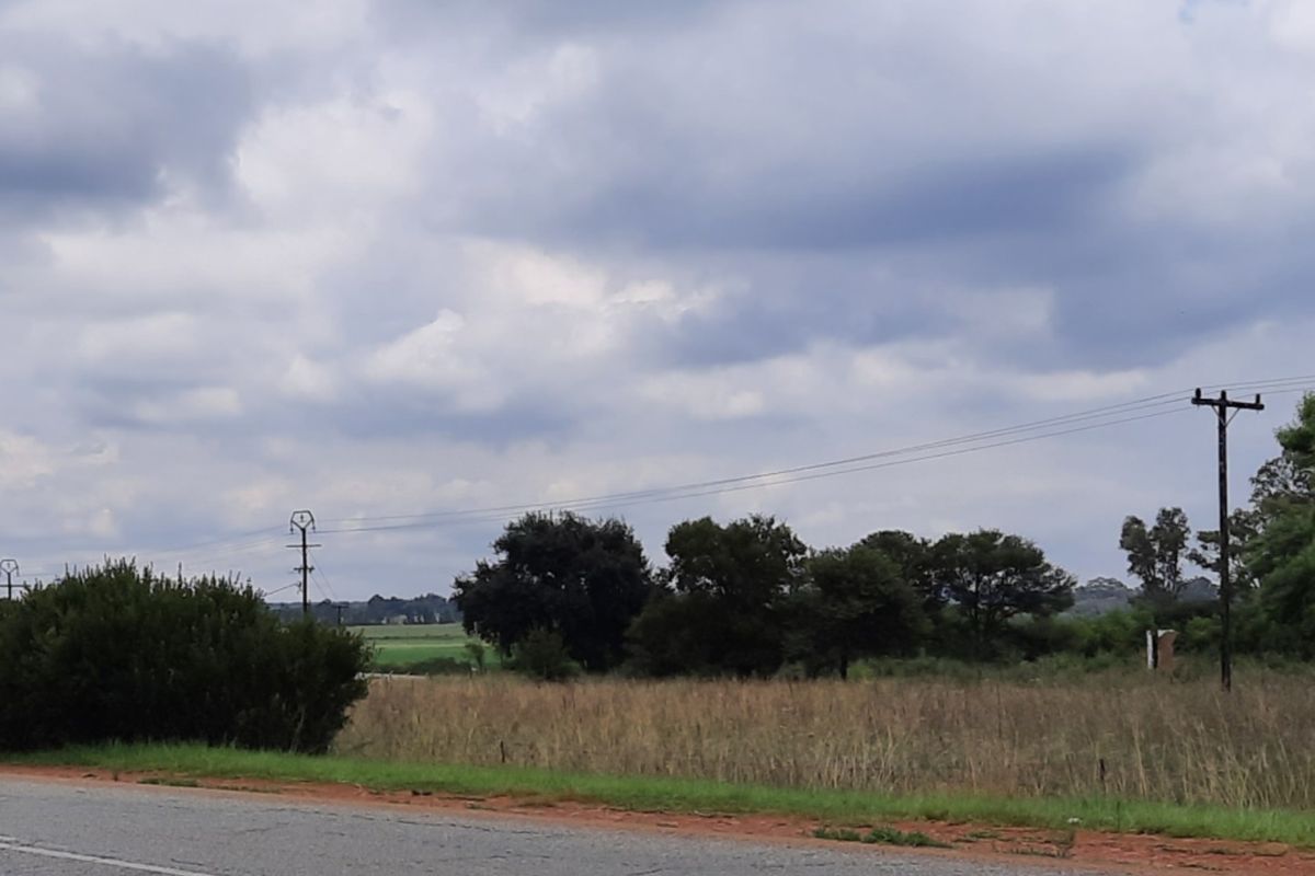 1 HA - Open Land near the tar road - Photo 2
