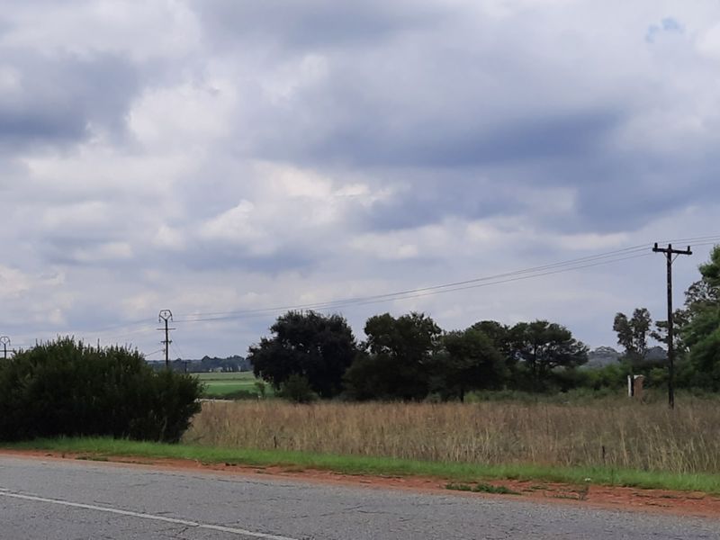 1 HA - Open Land near the tar road - Photo 2