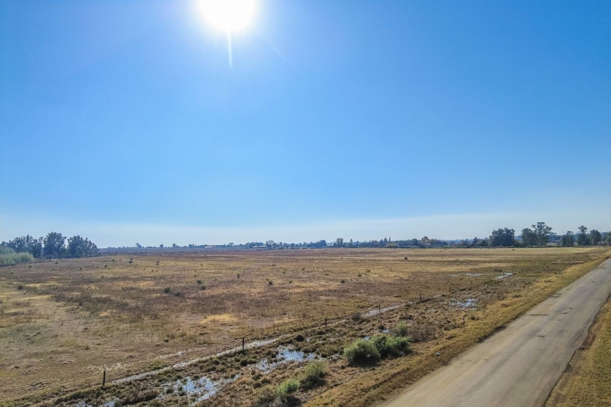 35  HA - Open land for planting perfect area - with access for a boat to the launch - Photo 2