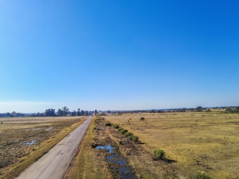 35  HA - Open land for planting perfect area - with access for a boat to the launch - Photo 3
