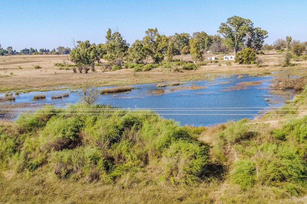 A scenic view of a natural dam surrounded by indigenous vegetation and open landscape on the small holding.