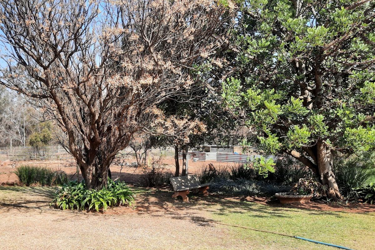 Small Farm in a beautiful area of the Vaal Triangle. - Photo 4