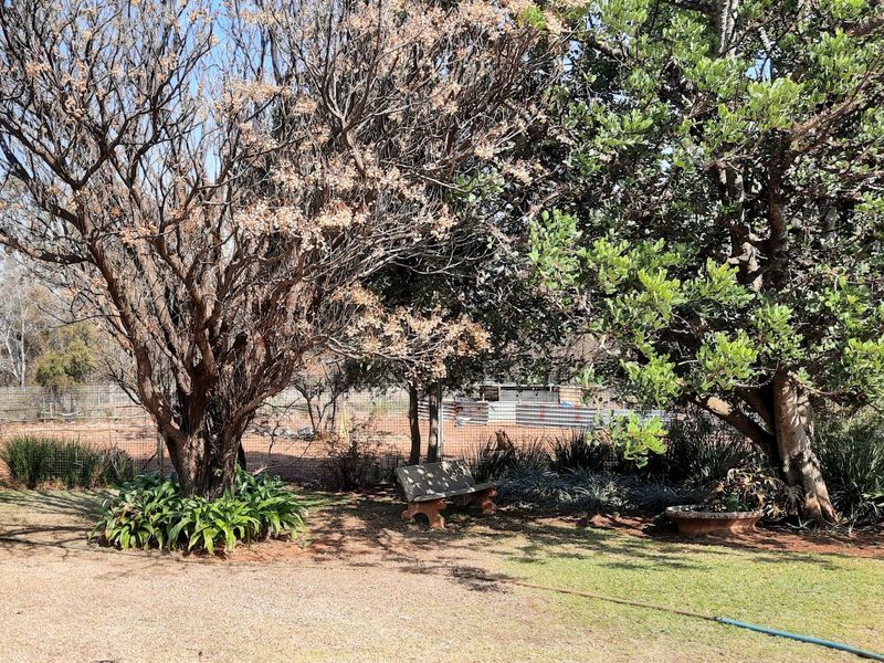 Small Farm in a beautiful area of the Vaal Triangle. - Photo 4