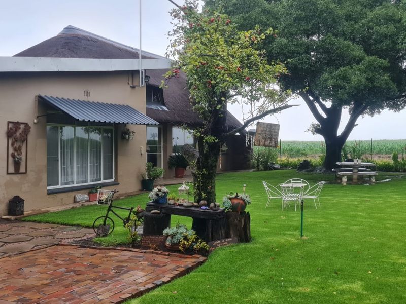 A well-maintained rear garden area featuring a thatched roof dwelling, brick paved patio, and expansive lawn with mature trees.