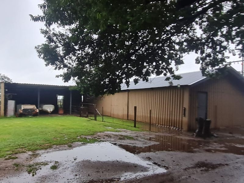 Rear view of a small holding featuring a corrugated metal shed structure with an attached open-sided storage area and surrounding lawn.