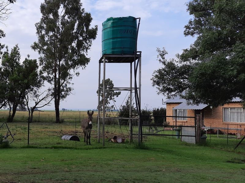 Outdoor garden area featuring a raised water storage tank on a metal stand, wire fencing, and a view of the brick property exterior.