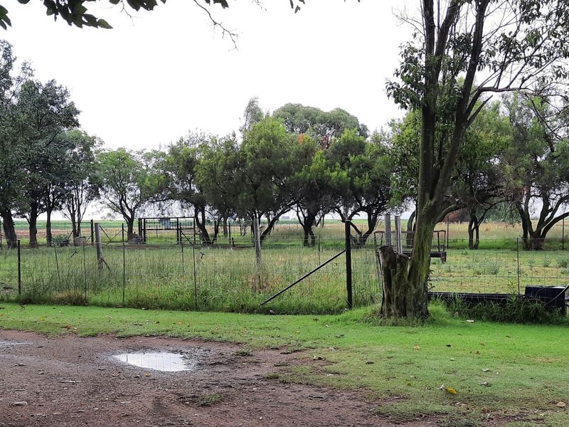 A view of the small holding garden featuring wire fencing, mature trees, and open grass areas.
