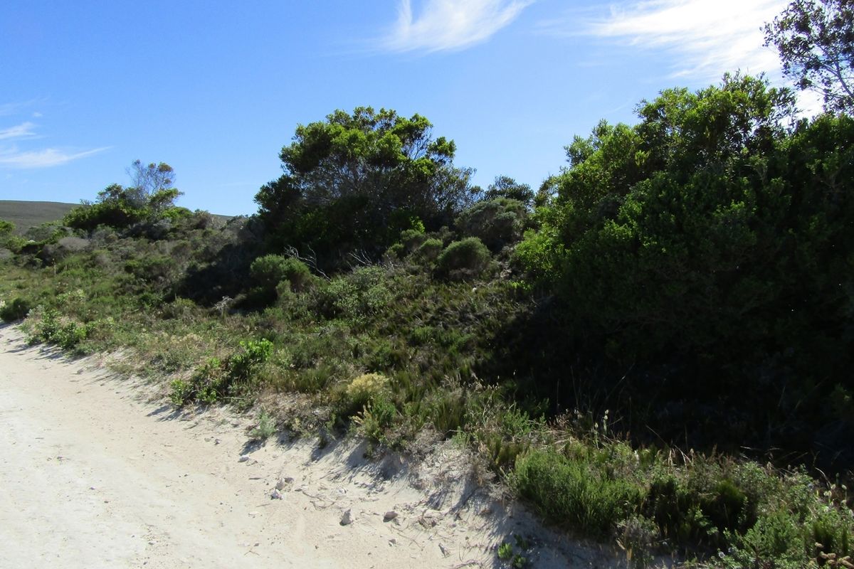 Vacant Land 1 488m2 Suiderstrand - Photo 3