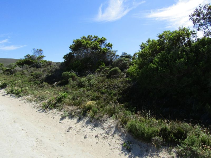 Vacant Land 1 488m2 Suiderstrand - Photo 3