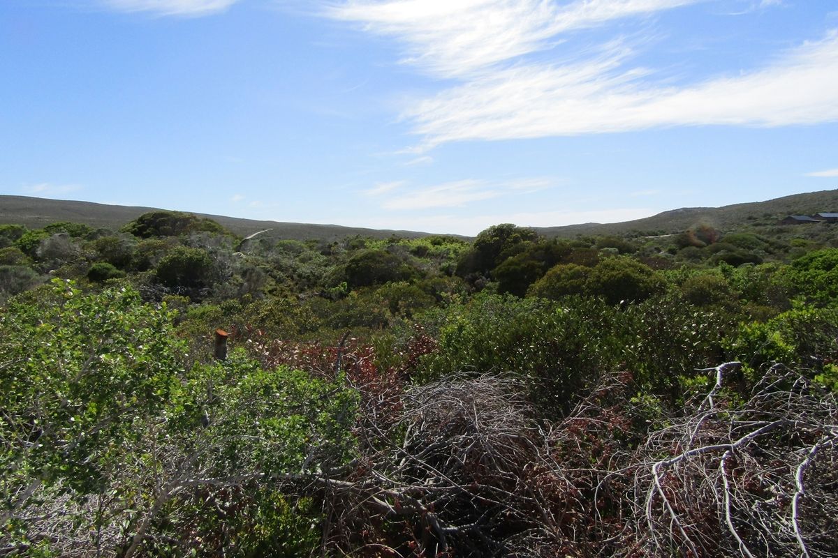 Vacant Land 1 488m2 Suiderstrand - Photo 4