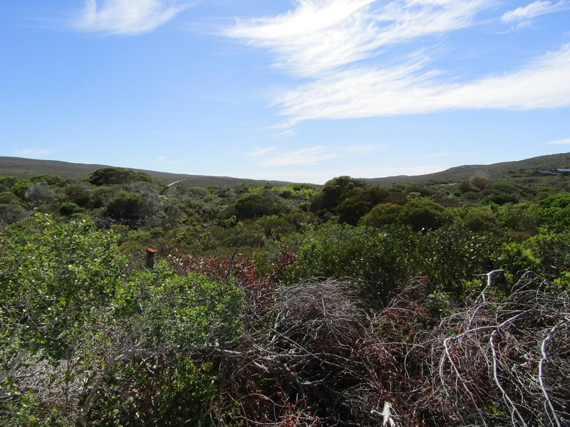 Vacant Land 1 488m2 Suiderstrand - Photo 4