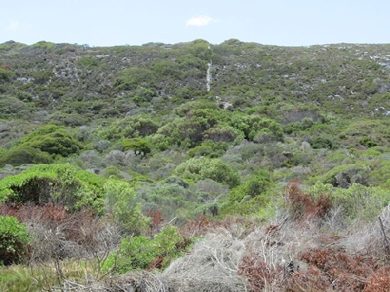 Vacant Land 1 488m2 Suiderstrand - Photo 7