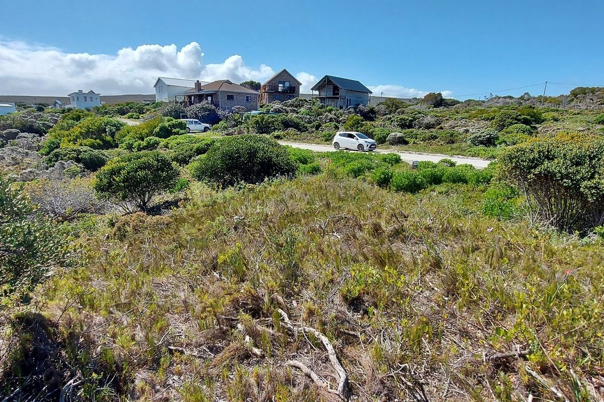 Tranquility on offer! - Photo 5