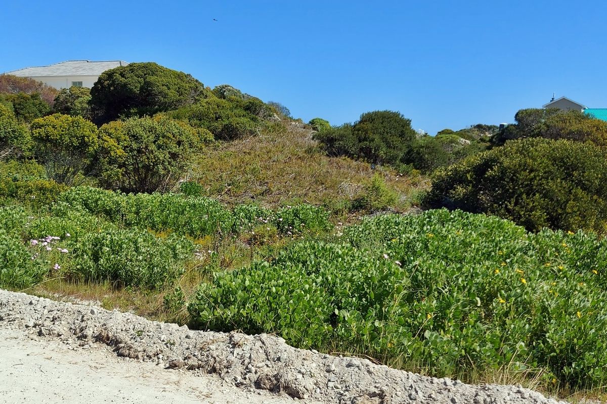 Tranquility on offer! - Photo 3