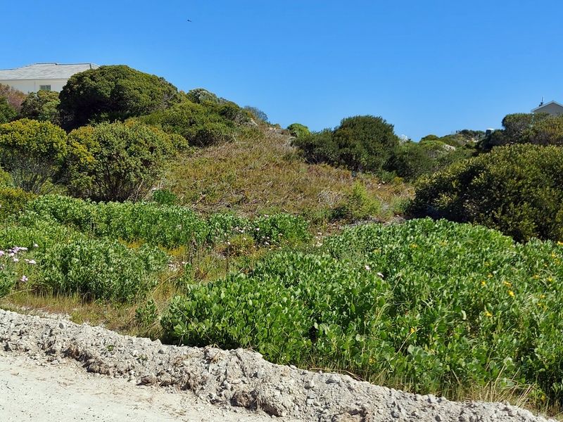 Tranquility on offer! - Photo 3