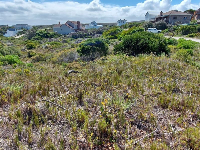 Tranquility on offer! - Photo 10