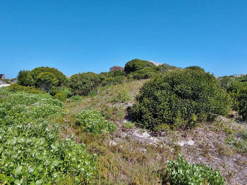 Tranquility on offer! - Photo 9