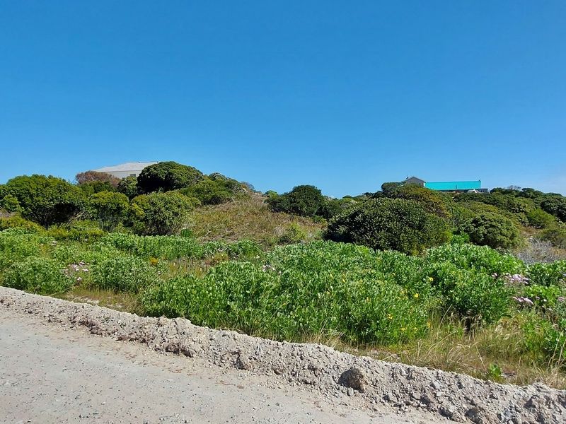 Tranquility on offer! - Photo 2