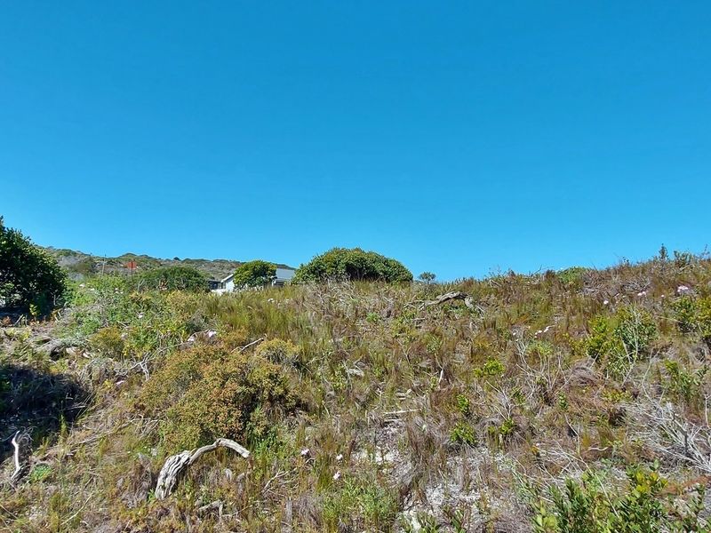 Tranquility on offer! - Photo 7