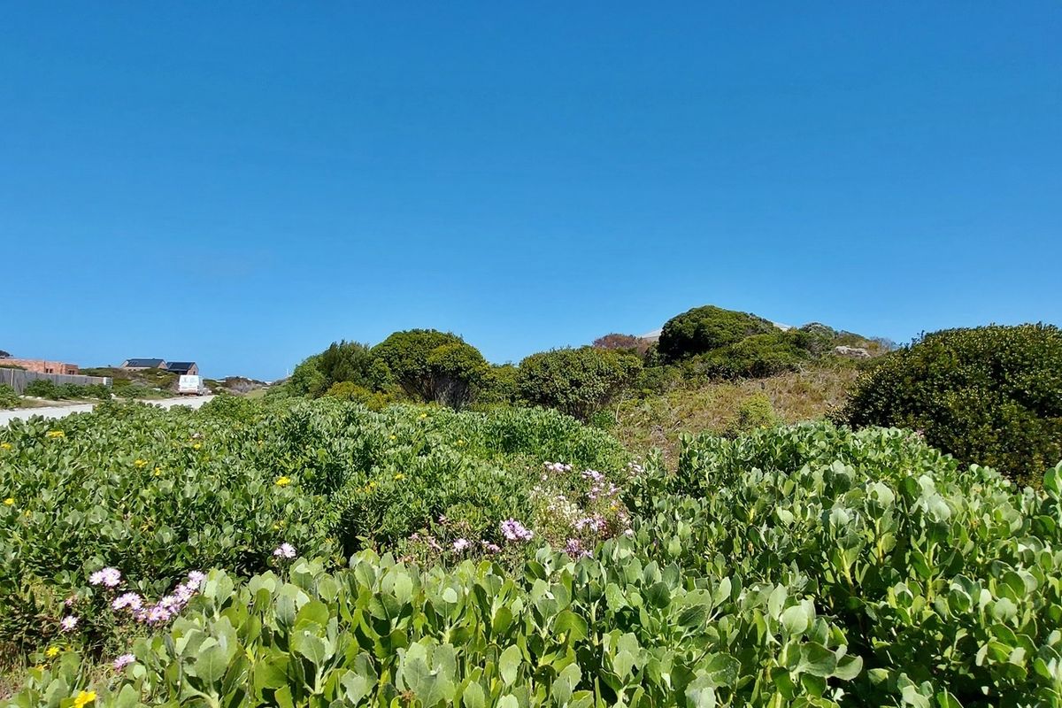 A view of a vacant residential plot featuring established native coastal vegetation and shrubs under a clear blue sky.