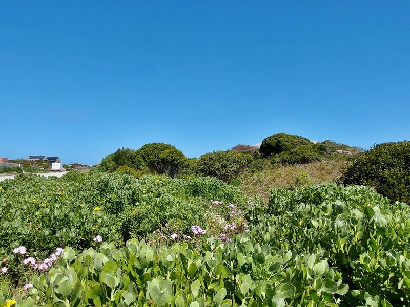 Tranquility on offer! - Photo 8