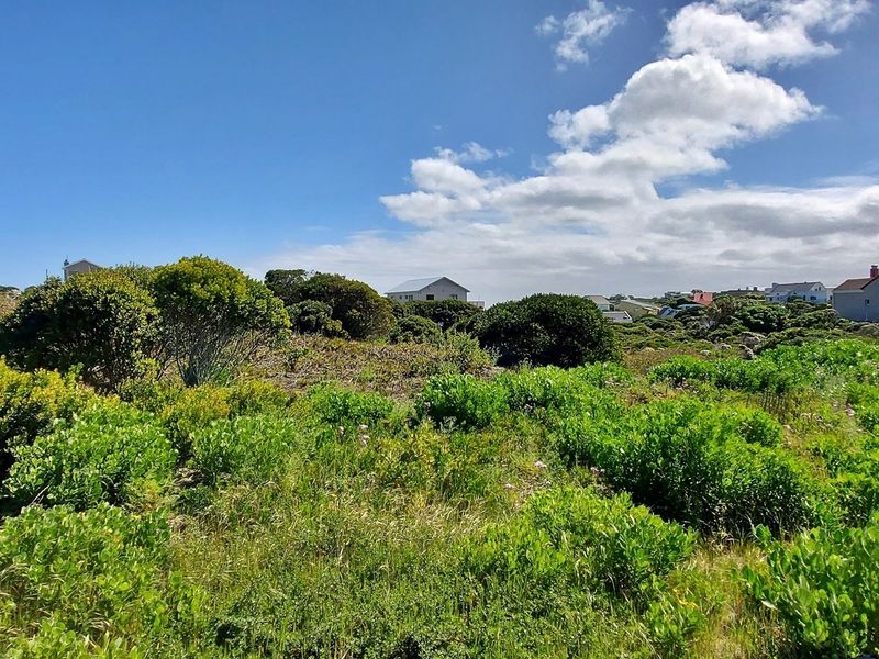 Tranquility on offer! - Photo 6