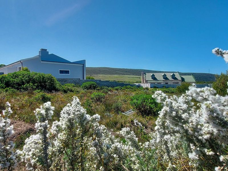 A view of a vacant residential plot featuring a concrete boundary wall and natural coastal vegetation with surrounding residential properties in the background.
