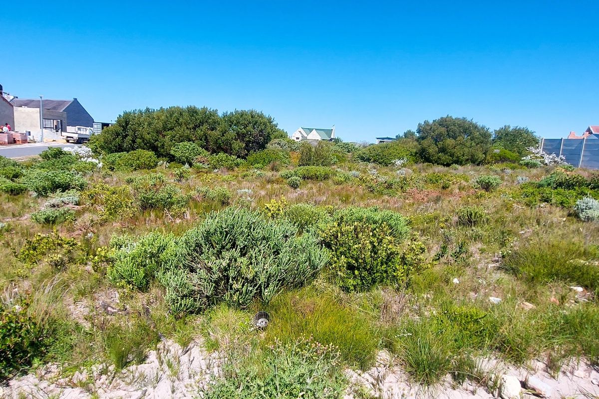 A vacant residential plot featuring natural indigenous vegetation, situated in a developed neighborhood with surrounding boundary walls and nearby construction.
