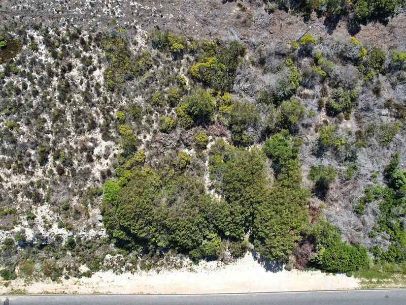 Established area boasting a coastal feel! - Photo 10