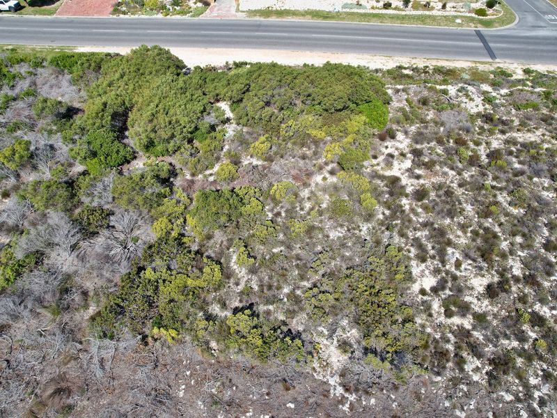 Established area boasting a coastal feel! - Photo 9