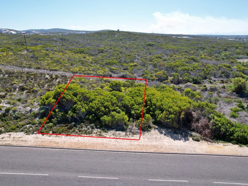 Established area boasting a coastal feel! - Photo 5