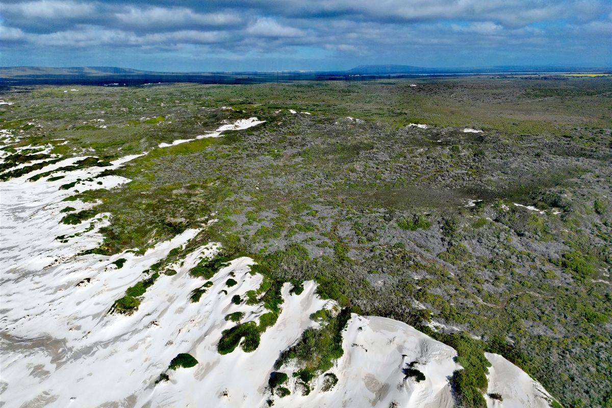 More than an Investment- Your Opportunity to Create a Legacy - Photo 2