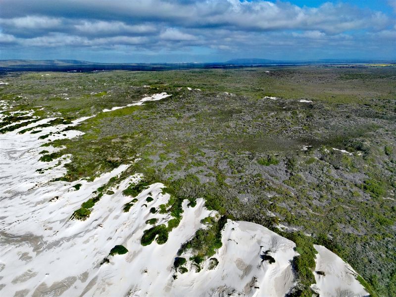 More than an Investment- Your Opportunity to Create a Legacy - Photo 2