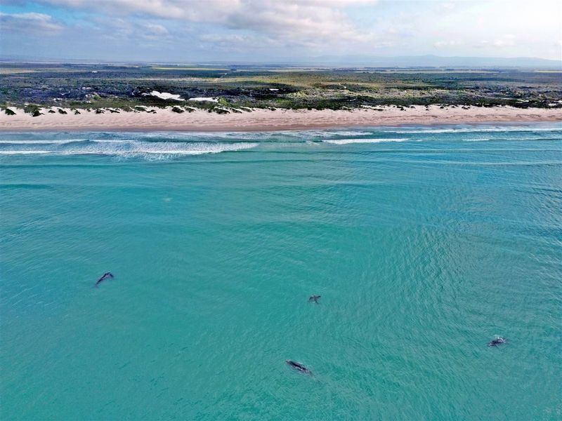 More than an Investment- Your Opportunity to Create a Legacy - Photo 6