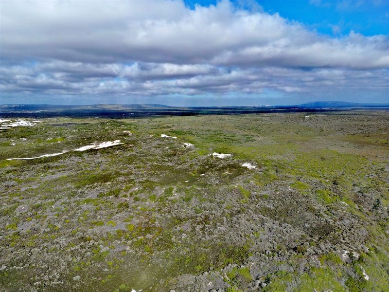 More than an Investment- Your Opportunity to Create a Legacy - Photo 9