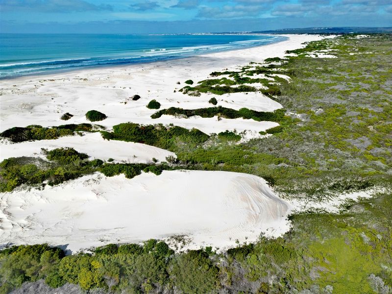 More than an Investment- Your Opportunity to Create a Legacy - Photo 7