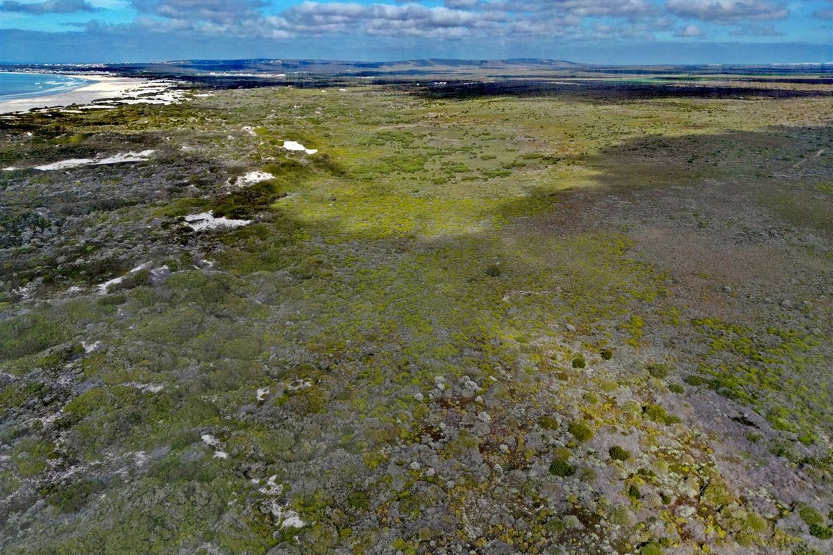 More than an Investment- Your Opportunity to Create a Legacy - Photo 3