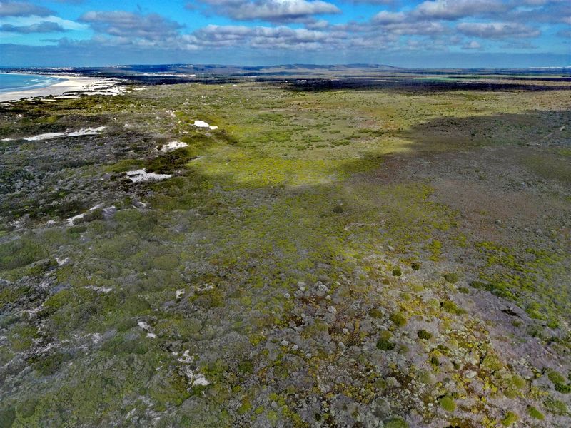 More than an Investment- Your Opportunity to Create a Legacy - Photo 3