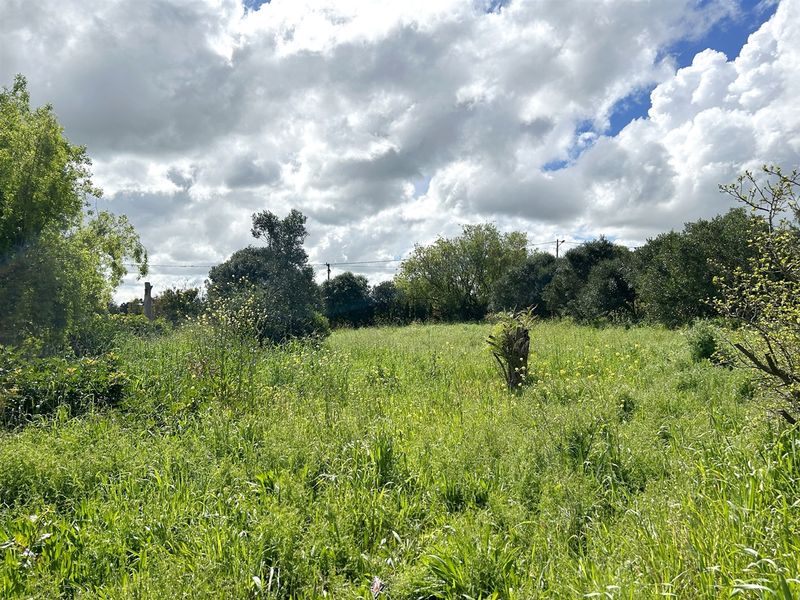 A Blank Canvas waiting to be Transformed - Photo 5