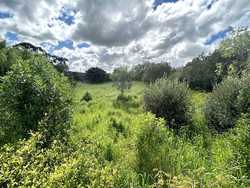 A Blank Canvas waiting to be Transformed - Photo 8