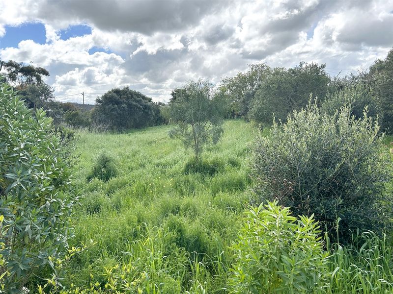 A Blank Canvas waiting to be Transformed - Photo 7