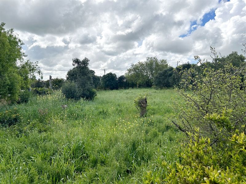 A Blank Canvas waiting to be Transformed - Photo 6